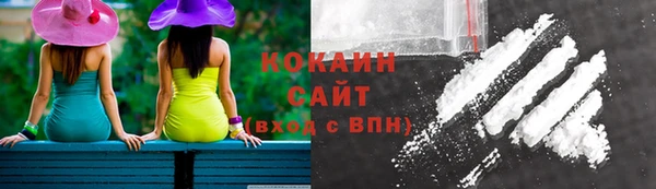 индика Кукмор