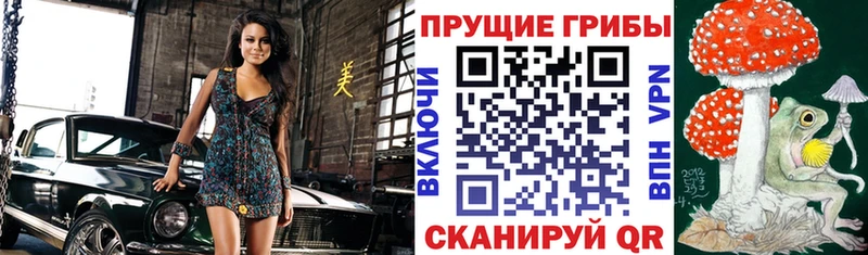 kraken зеркало  маркетплейс как зайти  Псилоцибиновые грибы GOLDEN TEACHER  Серафимович 